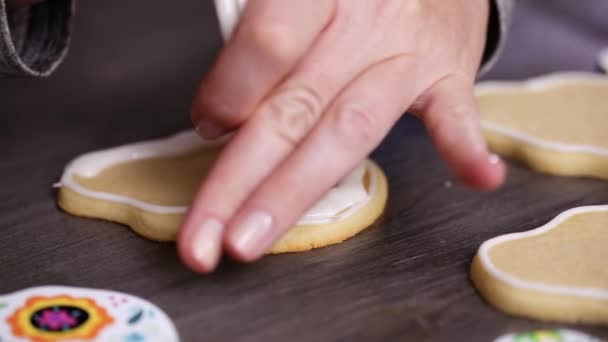 Paso Paso Creando Borde Para Inundar Galleta Del Cráneo Azúcar — Vídeo de stock