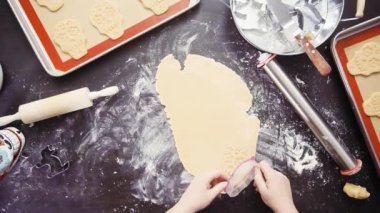 Şeker kafatası kurabiye Dia de los Muertos tatil için kadın.