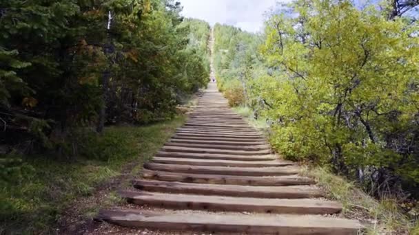 Extreme Nature Trail Steep Mountain Incline Advance Hikers — Stock Video