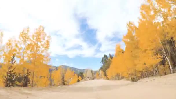 Conducir Pequeños Caminos Tierra Montaña Colorado Springs Cripple Creek Otoño — Vídeo de stock