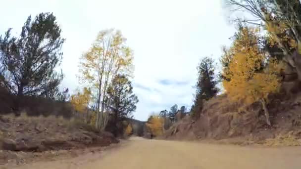 Conducir Pequeños Caminos Tierra Montaña Colorado Springs Cripple Creek Otoño — Vídeo de stock