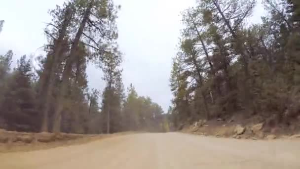 Οδήγηση Μικρούς Ορεινούς Δρόμους Βρωμιά Από Colorado Springs Cripple Creek — Αρχείο Βίντεο