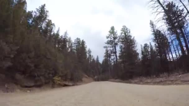 Conducerea Drumuri Mici Murdărie Montană Colorado Springs Cripple Creek Toamnă — Videoclip de stoc