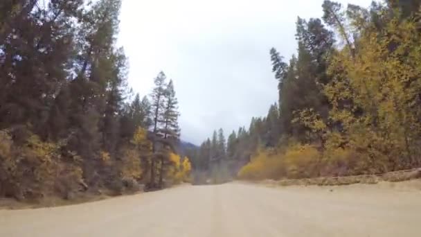 Guidare Piccole Strade Sterrate Montagna Colorado Springs Cripple Creek Autunno — Video Stock