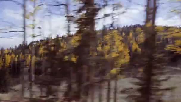 Водіння Невеликому Гірському Грунтові Дороги Колорадо Спрінгс Каліка Крик Восени — стокове відео