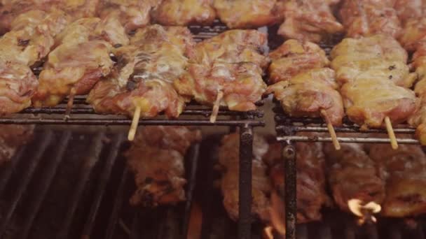 Cooking Street Food Boulder Creek Festival — Stock Video