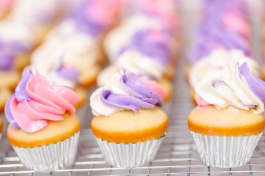Pembe ve mor buttercream buzlanma ile küçük vanilya cupcakes yakın çekim.