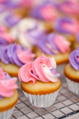 Pembe ve mor buttercream buzlanma ile küçük vanilya cupcakes yakın çekim.