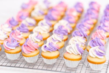 Pembe ve mor buttercream buzlanma ile küçük vanilya cupcakes yakın çekim.