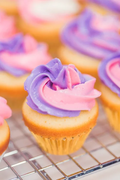 Nahaufnahme Von Kleinen Vanille Cupcakes Mit Rosa Und Lila Buttercreme — Stockfoto