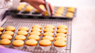 Taze pişmiş küçük vanilyalı kek.