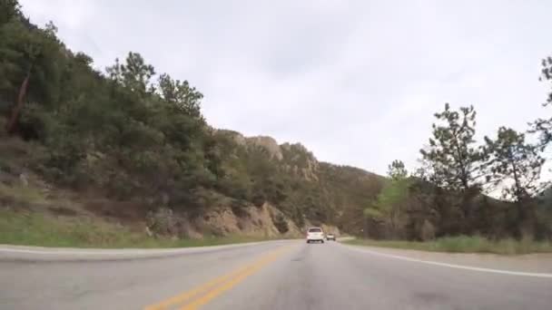 Condução Estrada Pavimentada Parque Nacional Montanha Rochosa — Vídeo de Stock