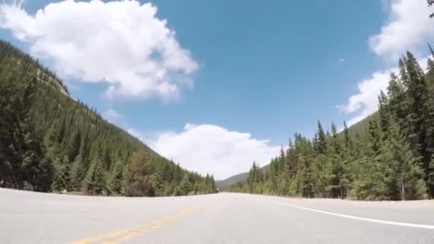 Conducir Por Carretera Pavimentada Parque Nacional Las Montañas Rocosas — Vídeo de stock