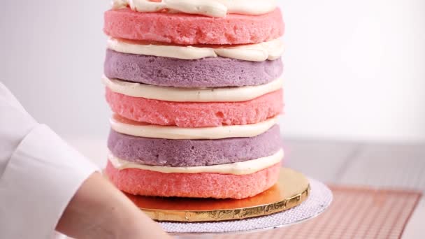 있도록 분홍색과 보라색 케이크 베이커 소녀의 파티에 유니콘 케이크 — 비디오