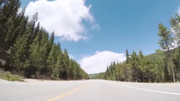 Körning Asfalterad Väg Rocky Mountain National Park — Stockvideo