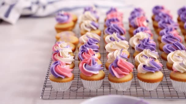 Csővezeték Rózsaszín Lila Vajkrém Fagyosan Kis Vanília Cupcakes — Stock videók