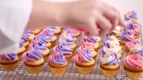 Piping Rosa Und Lila Buttercreme Zuckerguss Auf Kleinen Vanille Cupcakes — Stockvideo