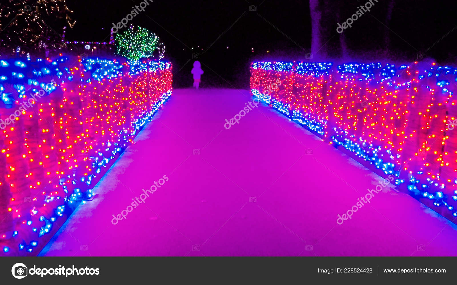 red and blue christmas lights