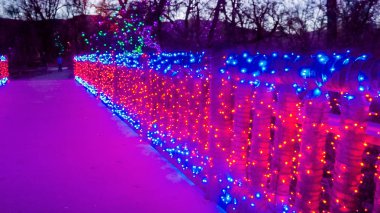 Kırmızı ve mavi Noel ışıkları ile dekore edilmiş ahşap köprü.