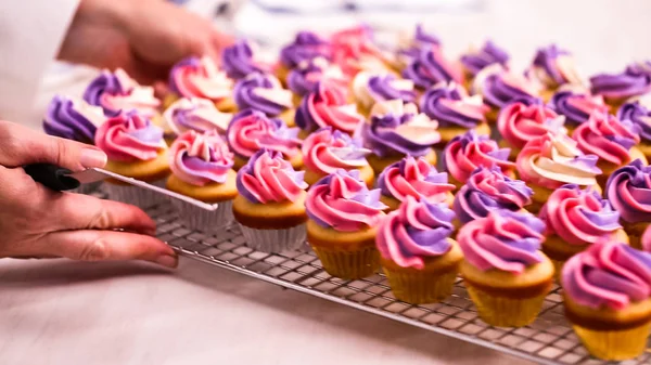 Csővezeték Rózsaszín Lila Vajkrém Fagyosan Kis Vanília Cupcakes — Stock Fotó