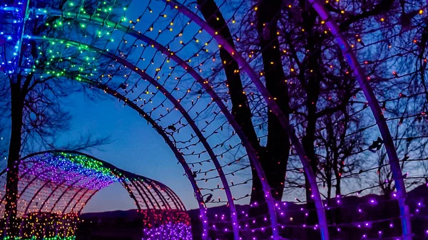 Túnel Decorado Con Luces Navidad Jardín — Foto de Stock