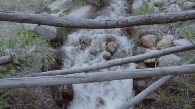 Yaz aylarında alp ormandaki küçük dağ dere