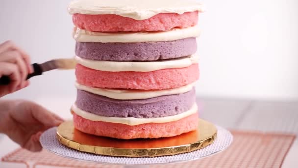 Montaż Warstwy Tort Różowy Fioletowy Baker Aby Jednorożca Tort Urodziny — Wideo stockowe