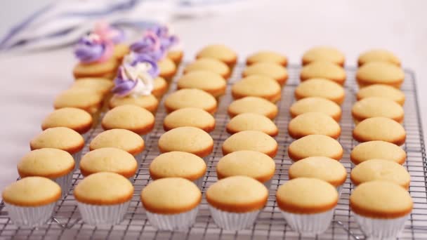 Piping Rosa Und Lila Buttercreme Zuckerguss Auf Kleinen Vanille Cupcakes — Stockvideo