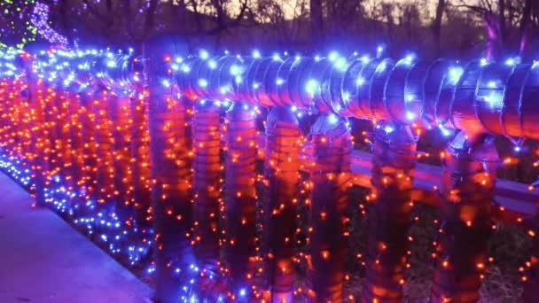 Árboles Decorados Con Luces Navidad Azul Púrpura — Vídeo de stock