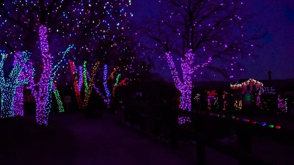 Árboles Decorados Con Luces Navidad Azul Púrpura — Foto de Stock