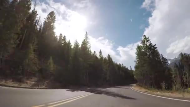 Conducir Por Carretera Pavimentada Parque Nacional Las Montañas Rocosas — Vídeos de Stock