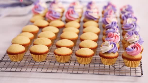 Piping Rosa Und Lila Buttercreme Zuckerguss Auf Kleinen Vanille Cupcakes — Stockvideo