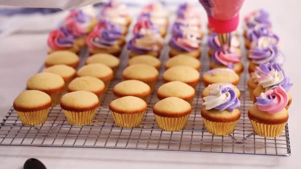 在小香草纸杯蛋糕上运送粉红色和紫色的奶油糖霜 — 图库视频影像