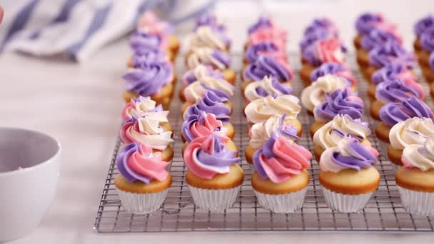 Roze Paarse Botterroom Glazuur Leidingen Kleine Vanille Cupcakes — Stockvideo