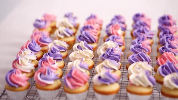 时间流逝 在小香草纸杯蛋糕上运送粉红色和紫色的奶油糖霜 — 图库视频影像