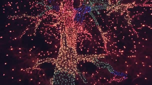 Vecchio Grande Albero Decorato Con Luci Natale Gialle Arancioni Rosse — Video Stock