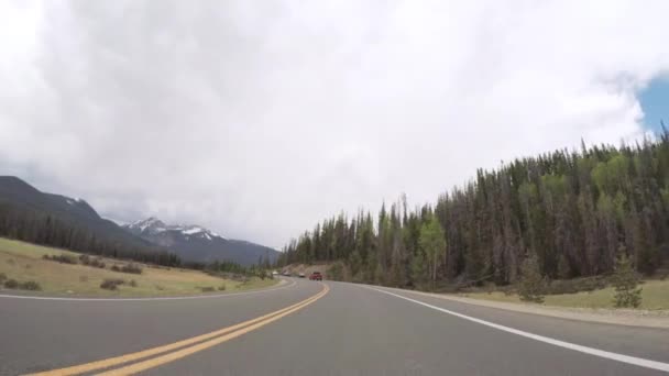 Jízdy Silnici Otevření Víkend Sezóny Rocky Mountain National Park — Stock video