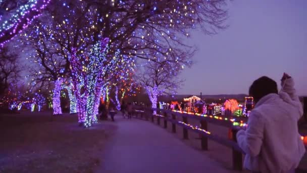 Denver Colorado Usa November 2018 Bäume Dekoriert Mit Blauer Und — Stockvideo