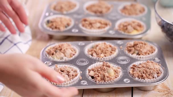 Zimt Und Zucker Auf Blaubeer Muffinteig Löffeln — Stockvideo