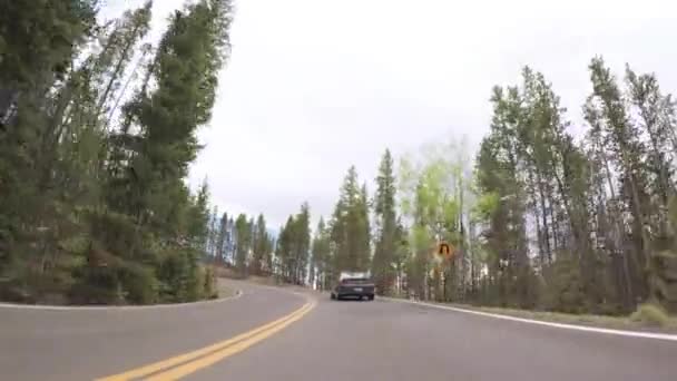 Conducir Por Carretera Pavimentada Parque Nacional Las Montañas Rocosas — Vídeos de Stock