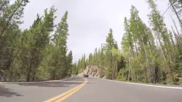 Conduite Sur Route Goudronnée Dans Parc National Des Rocheuses — Video