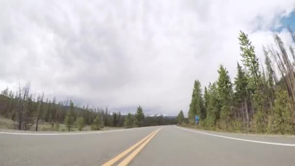 Condução Estrada Pavimentada Parque Nacional Montanha Rochosa — Vídeo de Stock