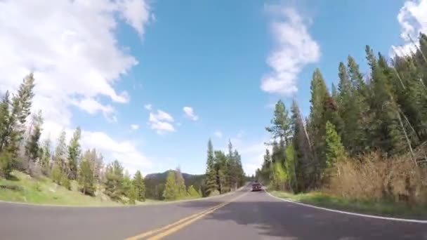 Conducir Por Carretera Pavimentada Parque Nacional Las Montañas Rocosas — Vídeo de stock