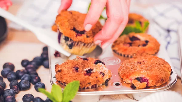 Λαμβάνοντας Μυρτιλός Μάφιν Από Μέταλλο Muffin Τηγάνι — Φωτογραφία Αρχείου