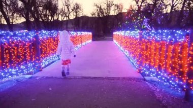 Kırmızı ve mavi Noel ışıkları ile dekore edilmiş ahşap köprü.