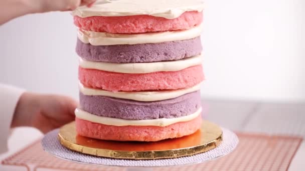 Baker Assembling Pink Purple Cake Layer Make Unicorn Cake Little — Stock Video