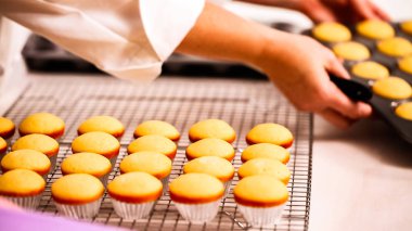 Taze pişmiş küçük vanilyalı kek.