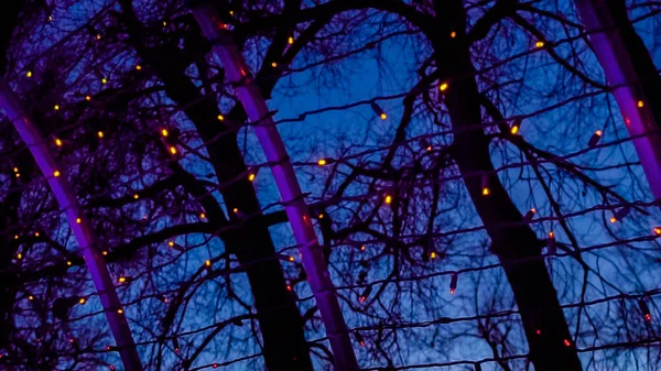 Túnel Decorado Com Luzes Natal Jardim — Fotografia de Stock