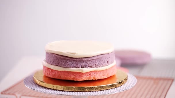 贝克组装粉红色和紫色的蛋糕层 使独角兽蛋糕为小女孩的生日聚会 — 图库视频影像