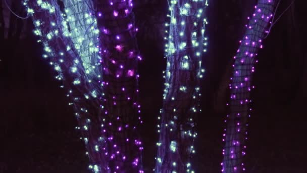 Árboles Decorados Con Luces Navidad Azul Púrpura — Vídeo de stock